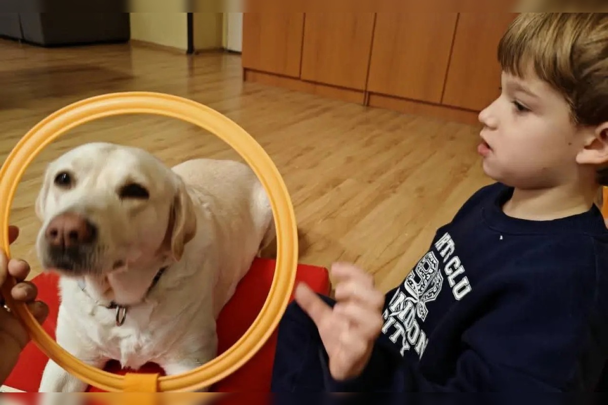 FOTO: Päťročnému Miškovi z okresu Sabinov bol diagnostikovaný detský autizmus, foto 4