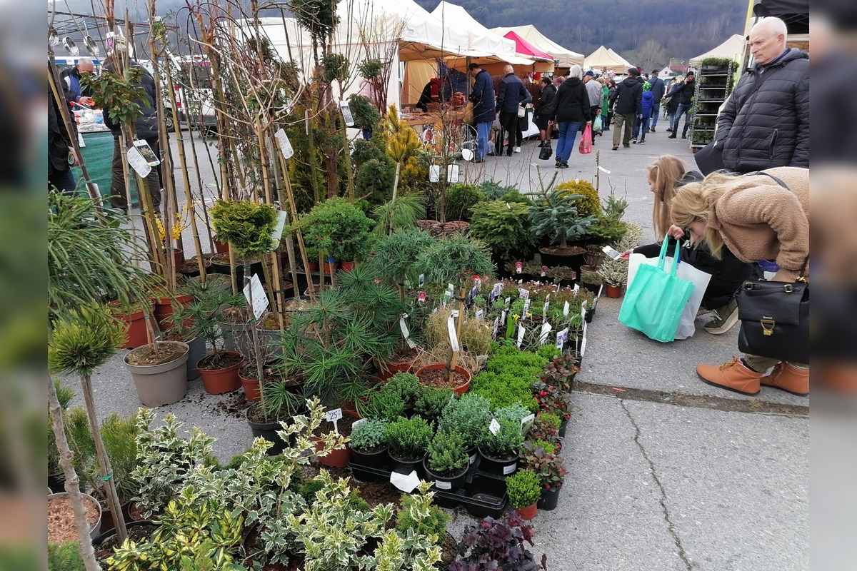 VIDEO: Prešovčania, pripravte sa, veľtrh Záhrada sa vracia, foto 1