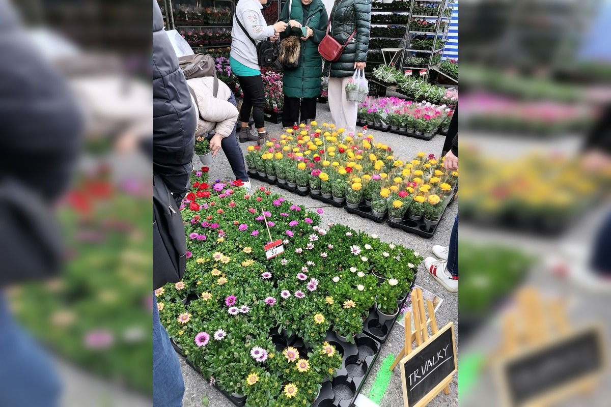 VIDEO: Prešovčania, pripravte sa, veľtrh Záhrada sa vracia, foto 2