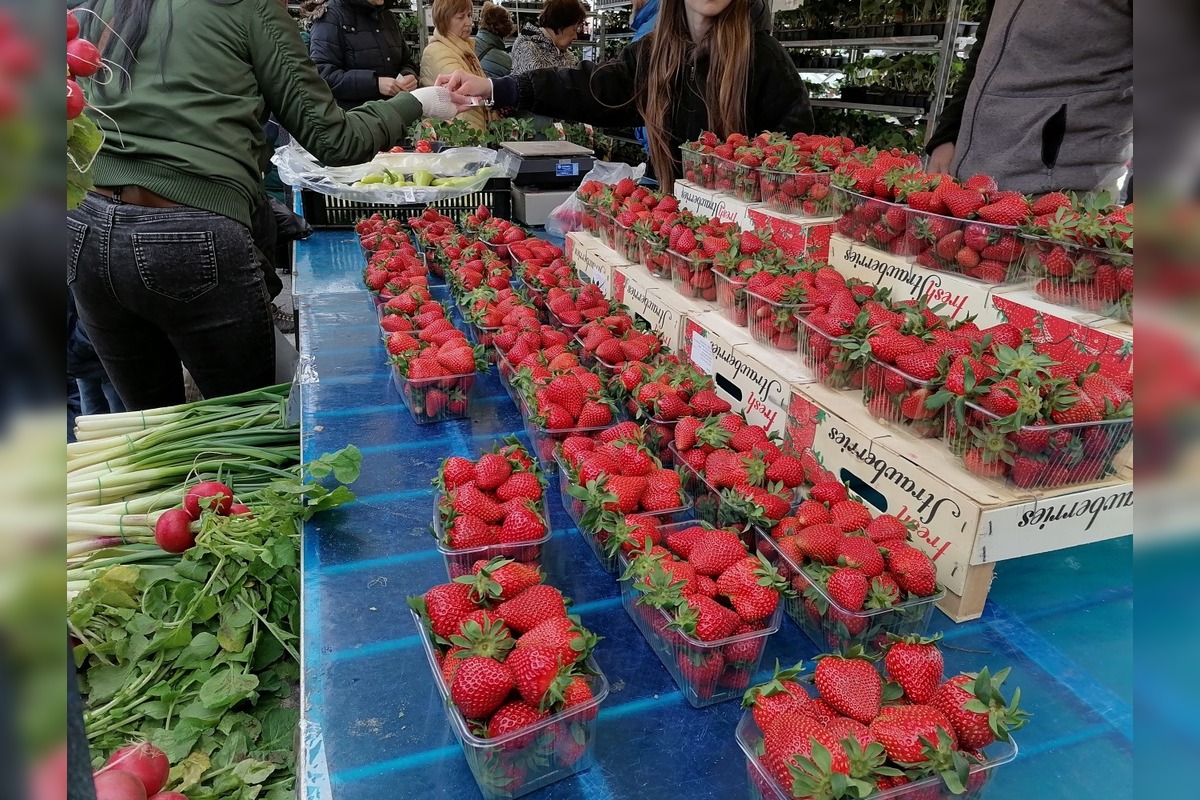 VIDEO: Prešovčania, pripravte sa, veľtrh Záhrada sa vracia, foto 3