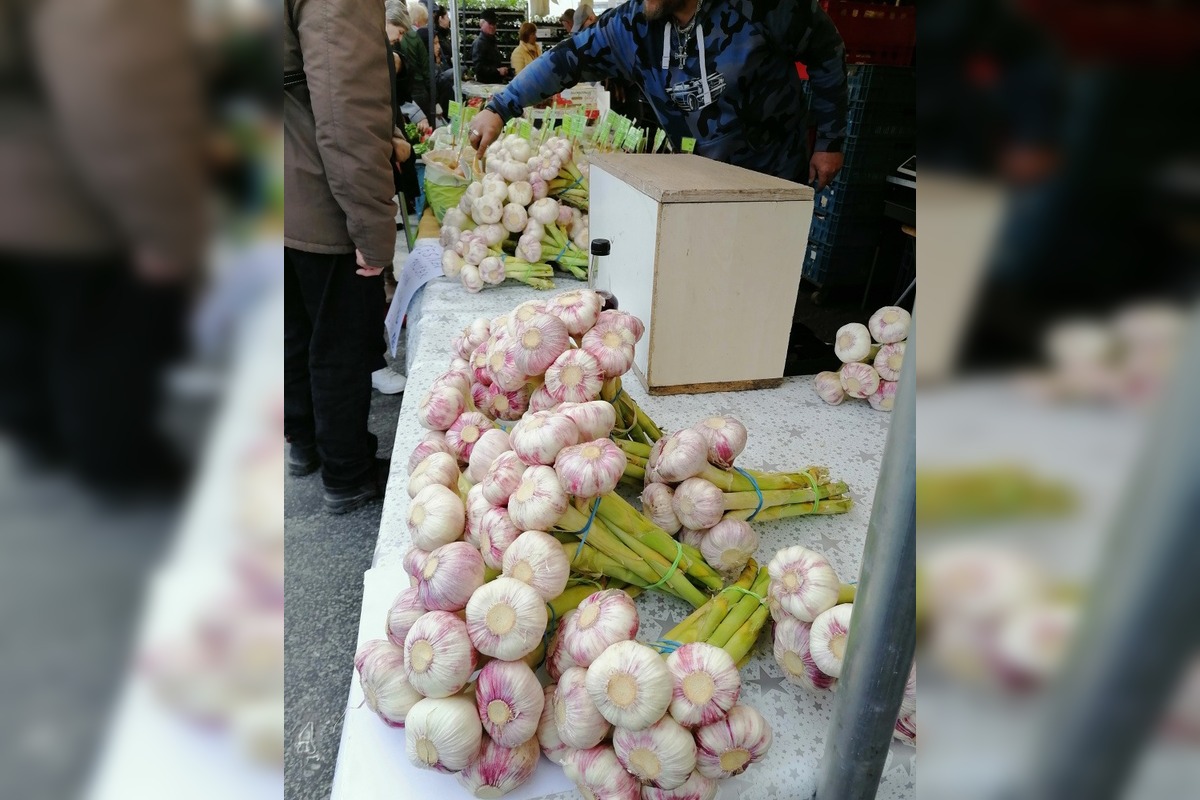 VIDEO: Prešovčania, pripravte sa, veľtrh Záhrada sa vracia, foto 4