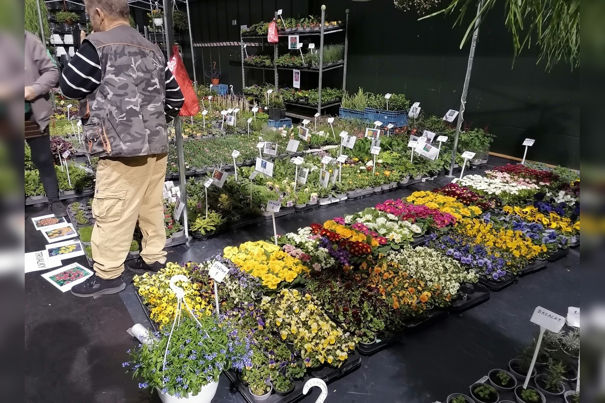 VIDEO: Prešovčania, pripravte sa, veľtrh Záhrada sa vracia, foto 5