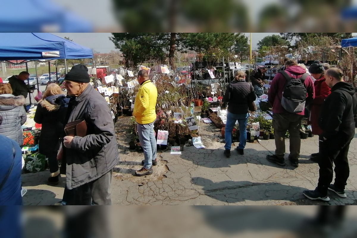 VIDEO: Prešovčania, pripravte sa, veľtrh Záhrada sa vracia, foto 11