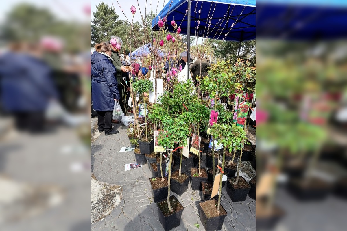 VIDEO: Prešovčania, pripravte sa, veľtrh Záhrada sa vracia, foto 12