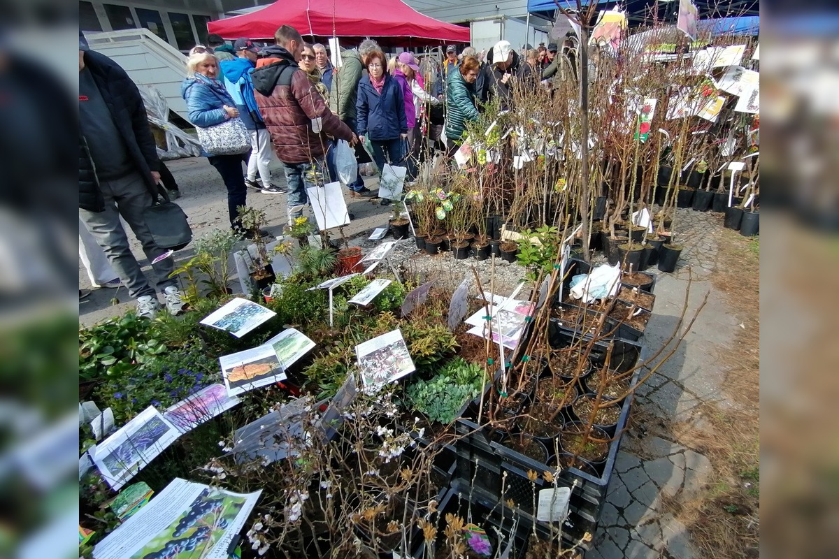VIDEO: Prešovčania, pripravte sa, veľtrh Záhrada sa vracia, foto 13