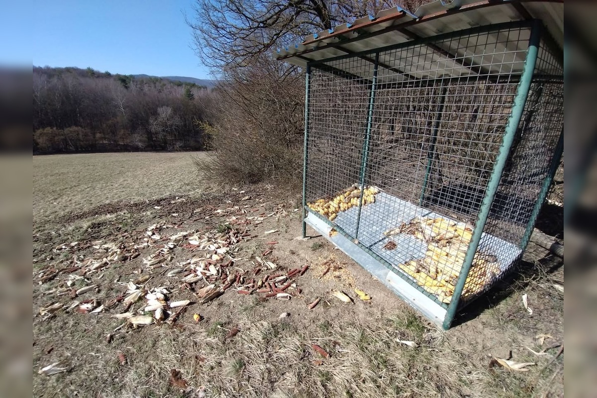 FOTO: vnadiska, foto 1