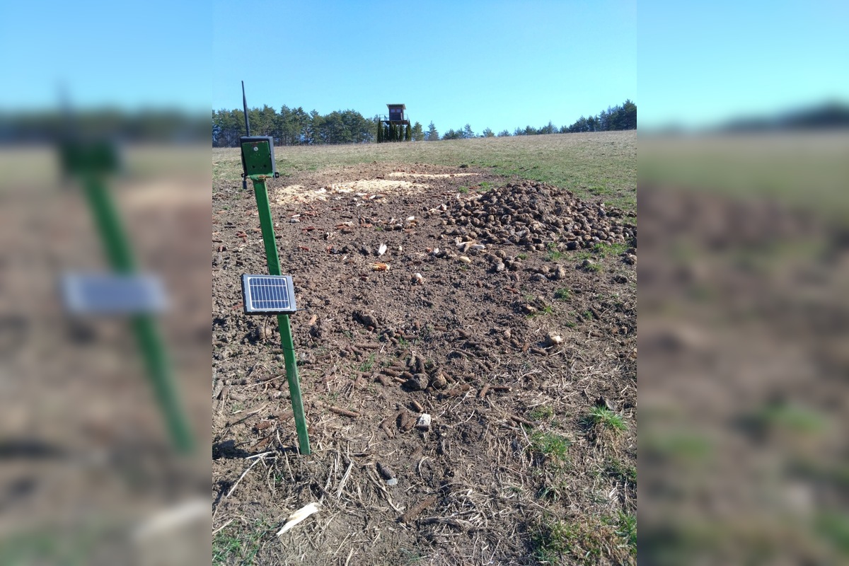 FOTO: vnadiska, foto 2