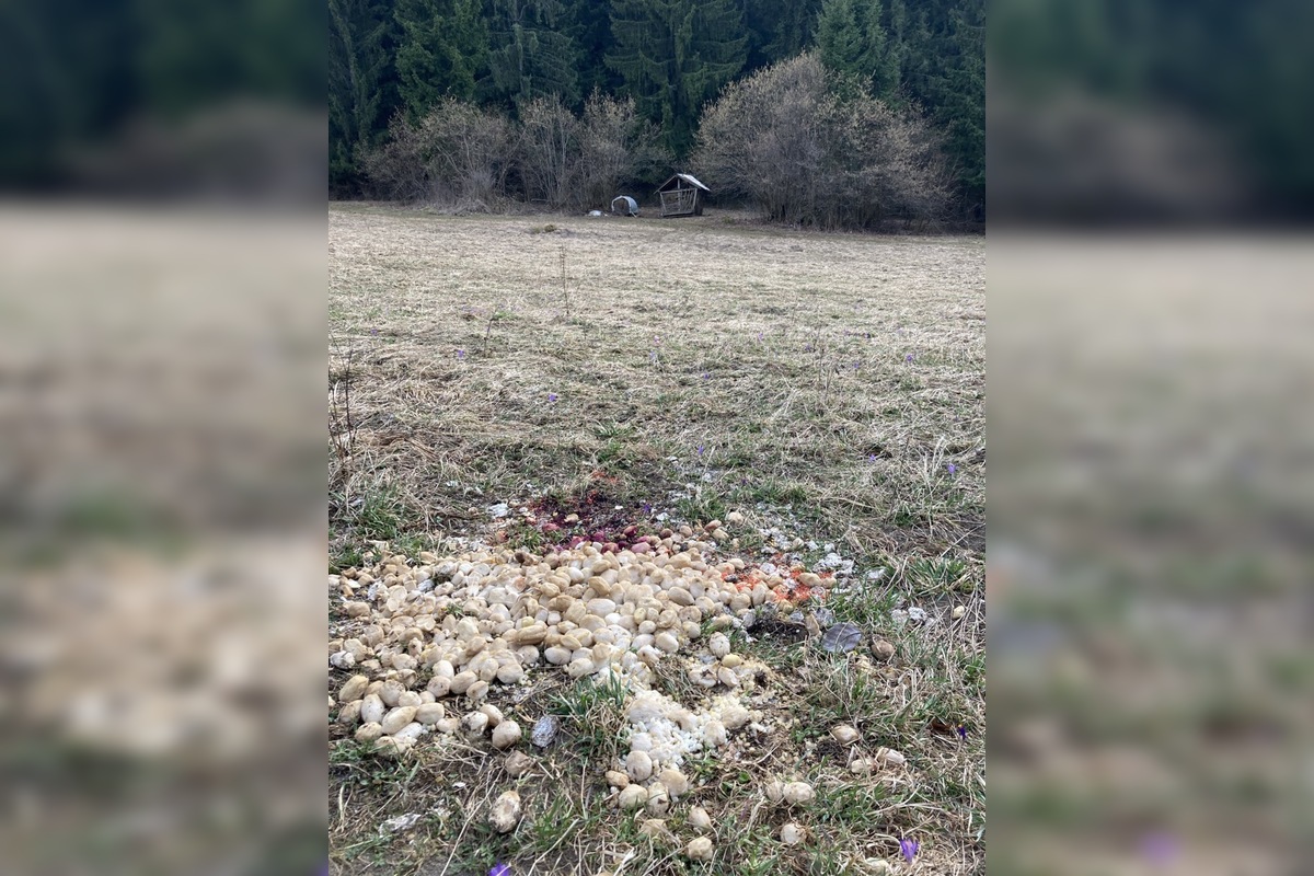 FOTO: vnadiska, foto 3