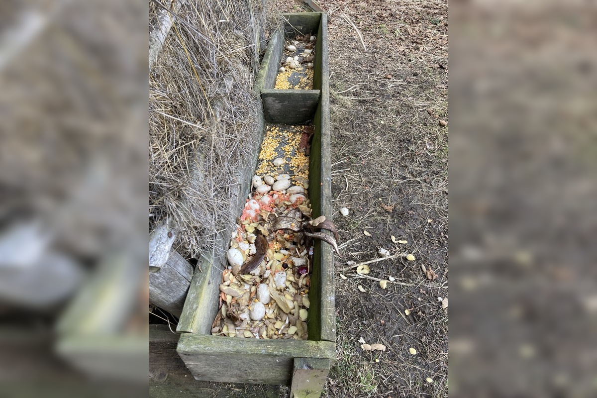 FOTO: vnadiska, foto 4