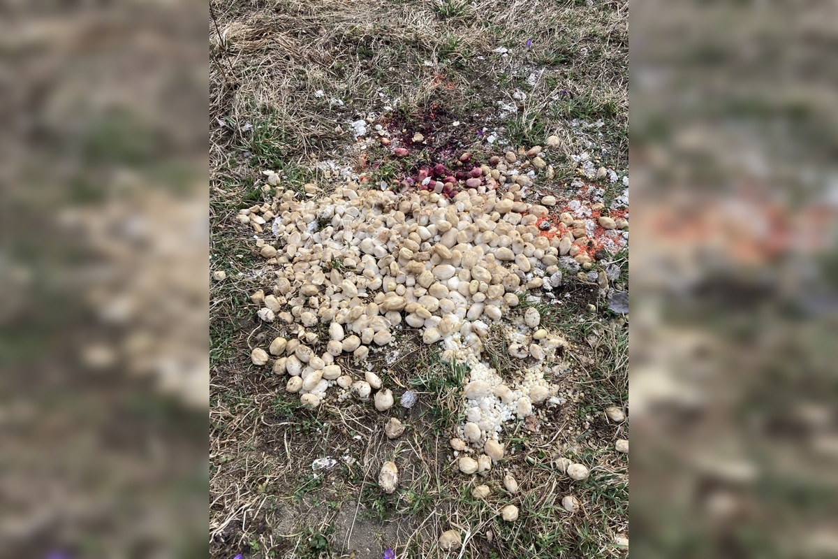 FOTO: vnadiska, foto 5