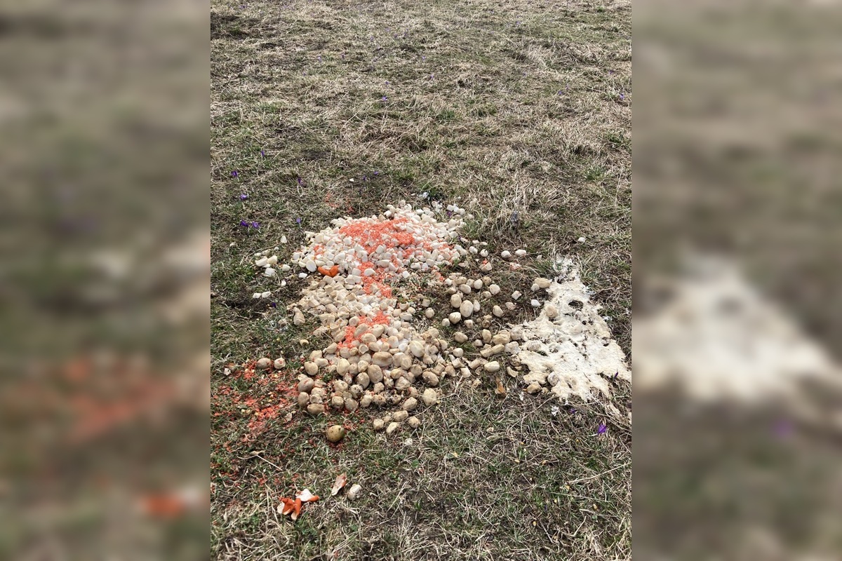 FOTO: vnadiska, foto 6