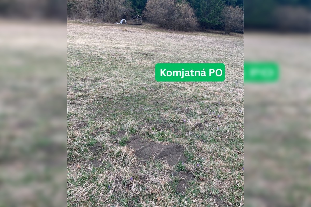 FOTO: vnadiska, foto 7