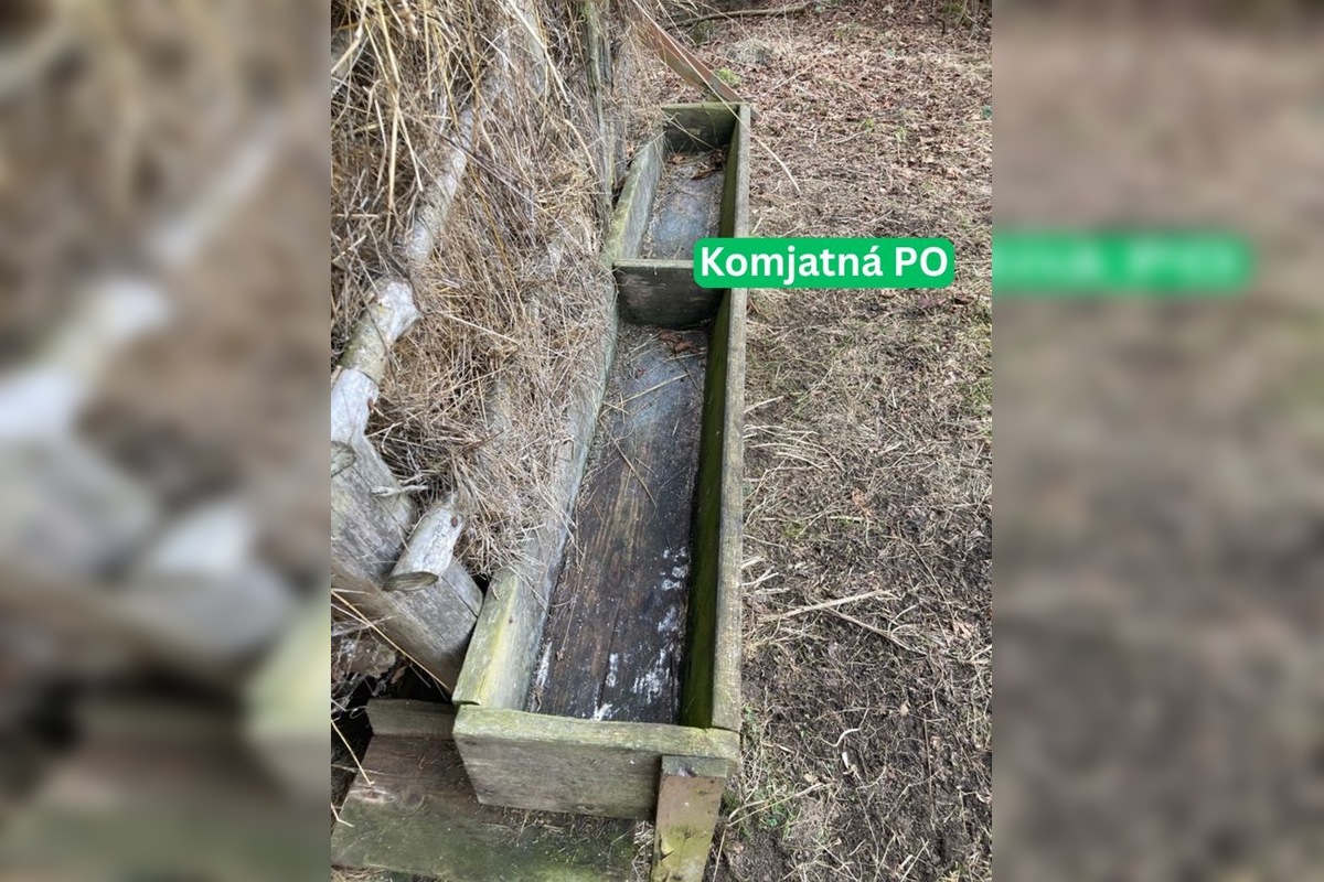 FOTO: vnadiska, foto 9