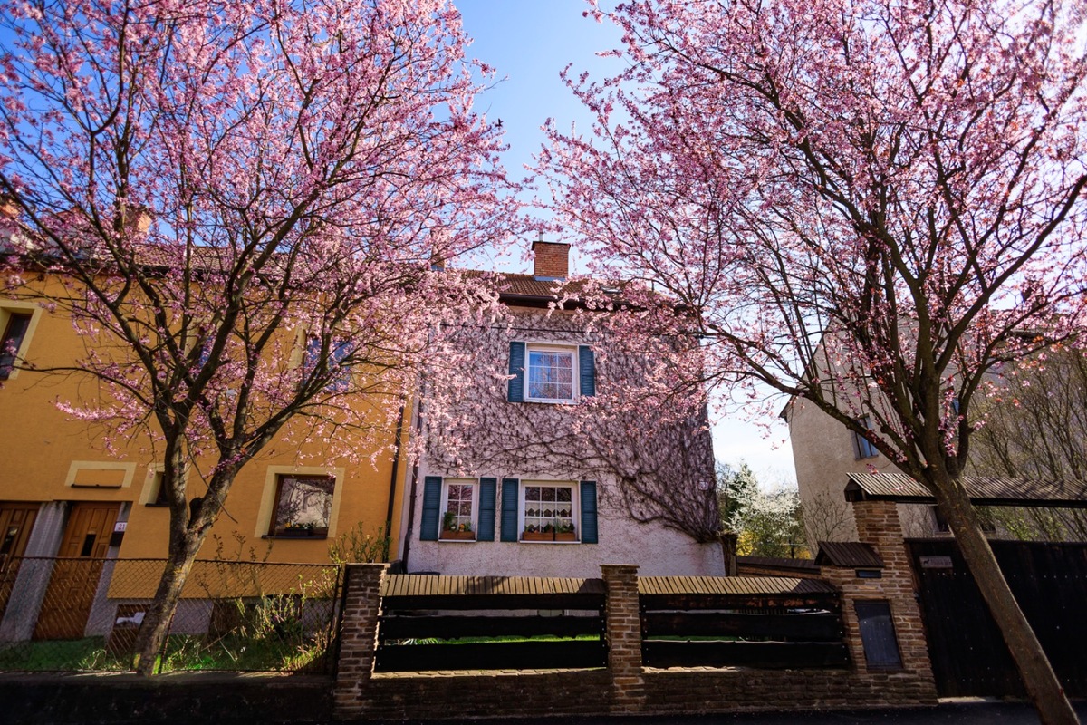 FOTO: Gorkého ulica v Prešove opäť pripomína rozprávku, foto 1