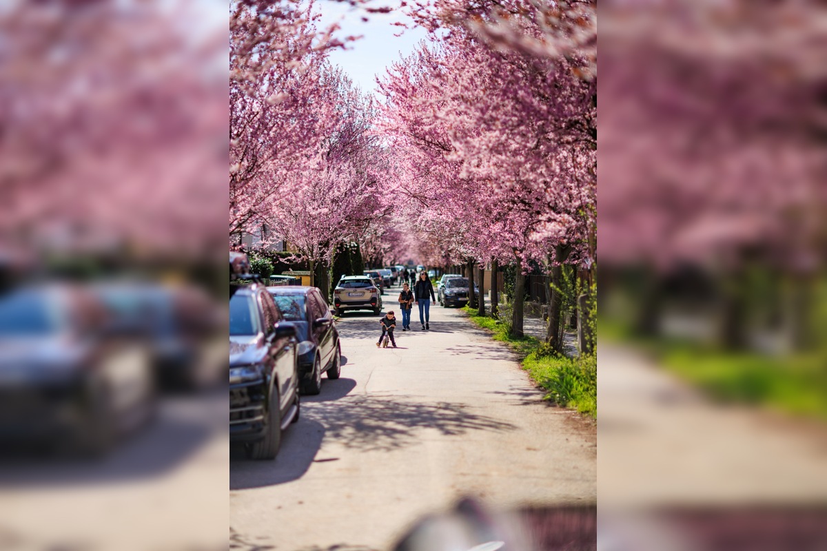 FOTO: Gorkého ulica v Prešove opäť pripomína rozprávku, foto 3