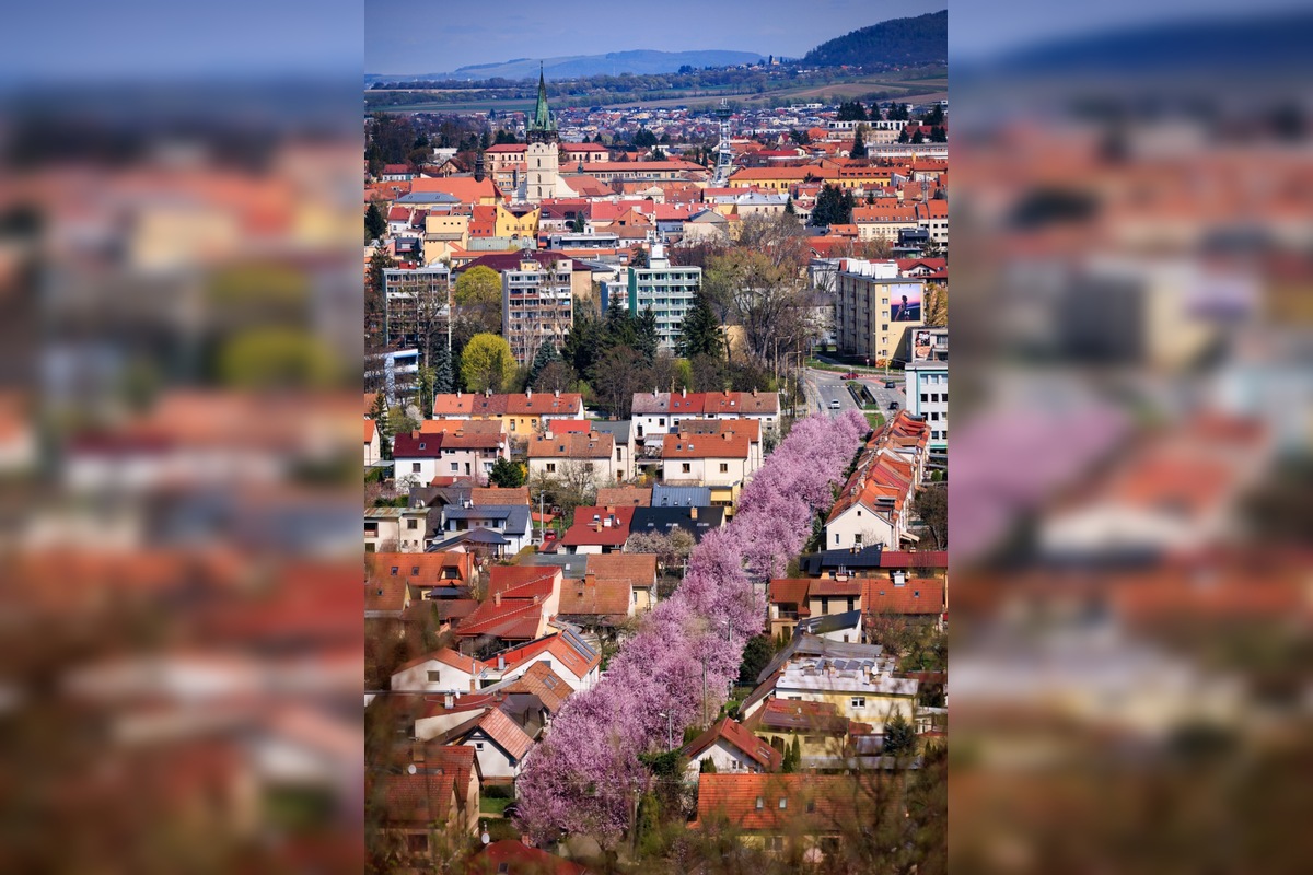 FOTO: Gorkého ulica v Prešove opäť pripomína rozprávku, foto 5