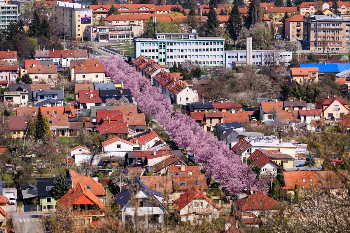 FOTO: Gorkého ulica v Prešove opäť pripomína rozprávku, foto 6