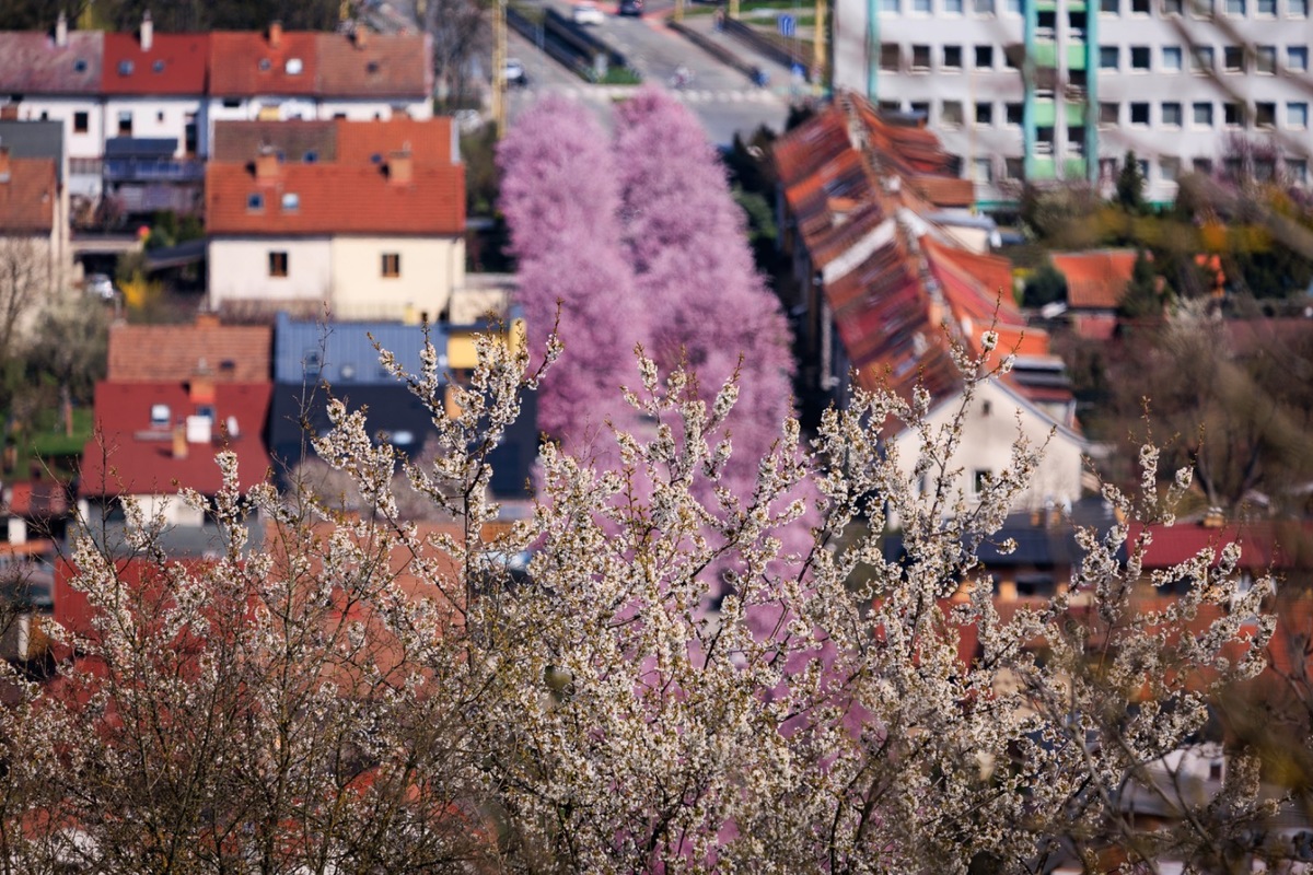 FOTO: Gorkého ulica v Prešove opäť pripomína rozprávku, foto 7