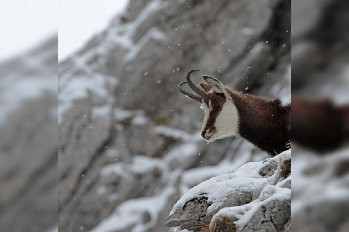 FOTO: V Tatrách končí skialpinistická sezóna, foto 2