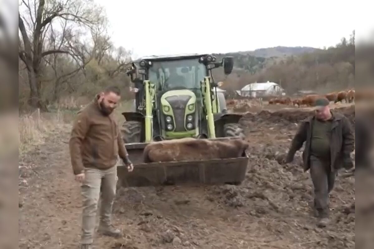 FOTO: Zubríča Mirka putovala od stáda kráv do ZOO v Bojniciach , foto 8