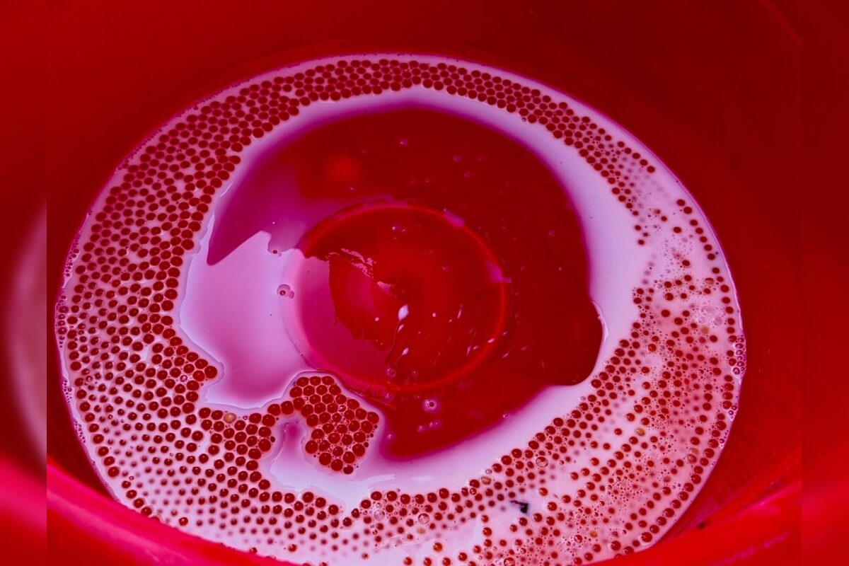 FOTO: Nová generácia kráľovnej riek je na svete, foto 4