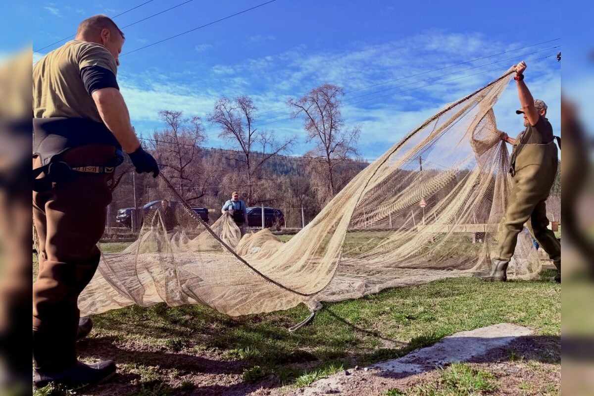 FOTO: Nová generácia kráľovnej riek je na svete, foto 6