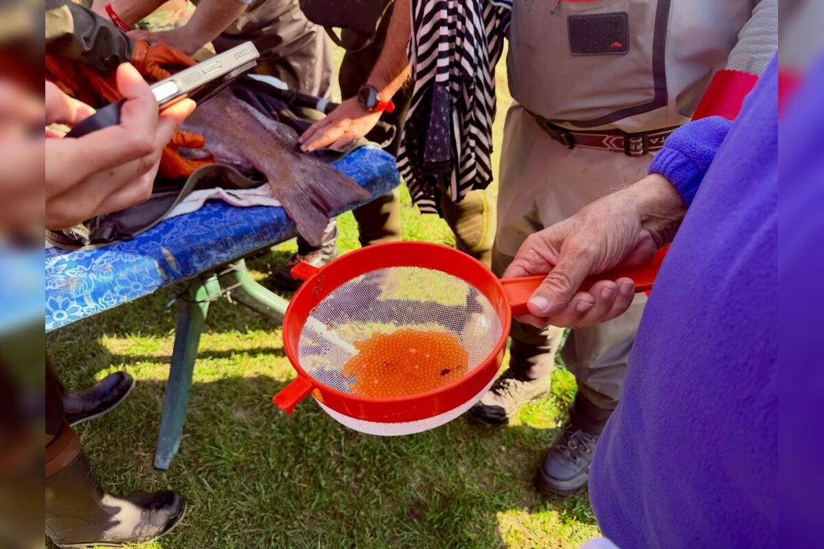 FOTO: Nová generácia kráľovnej riek je na svete, foto 7