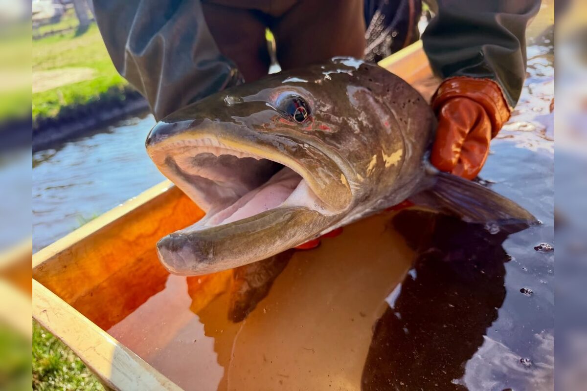 FOTO: Nová generácia kráľovnej riek je na svete, foto 9