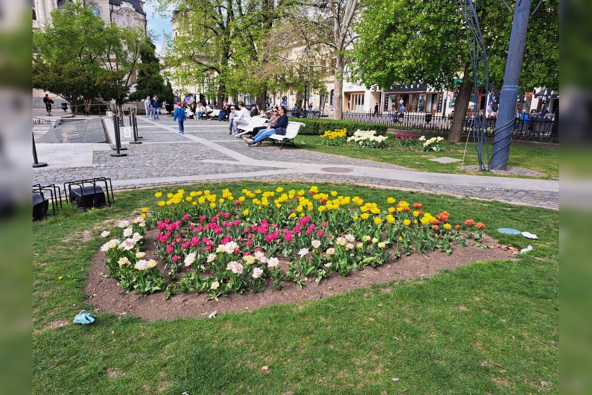 FOTO: Prešovčanom vyráža dych nádherná kvetinová výzdoba v Košiciach. Chceli by niečo podobné, foto 1
