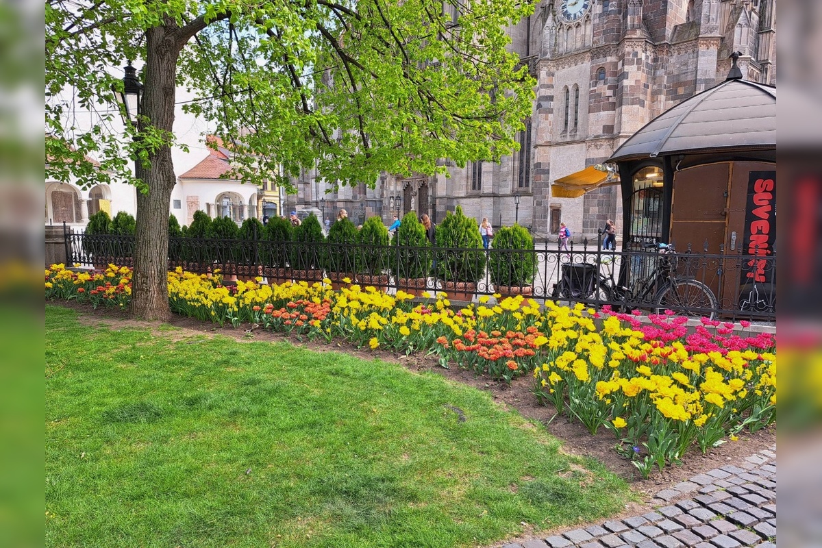 FOTO: Prešovčanom vyráža dych nádherná kvetinová výzdoba v Košiciach. Chceli by niečo podobné, foto 3