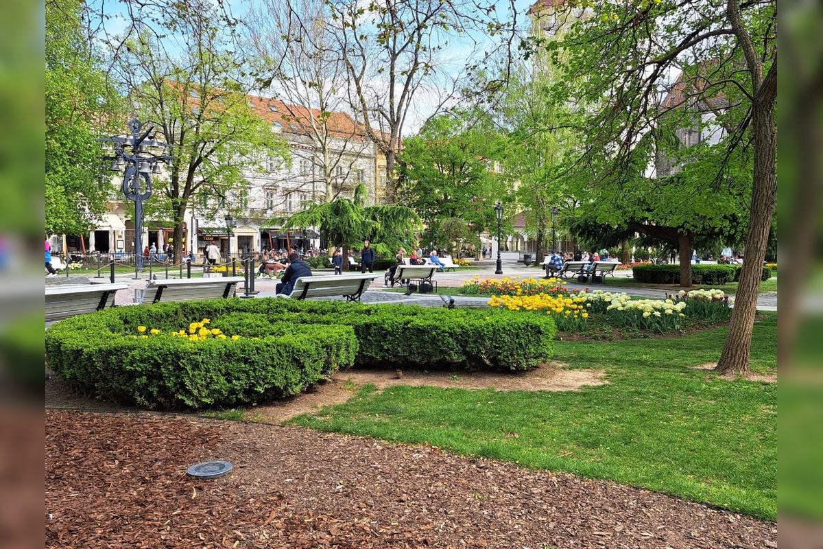 FOTO: Prešovčanom vyráža dych nádherná kvetinová výzdoba v Košiciach. Chceli by niečo podobné, foto 4