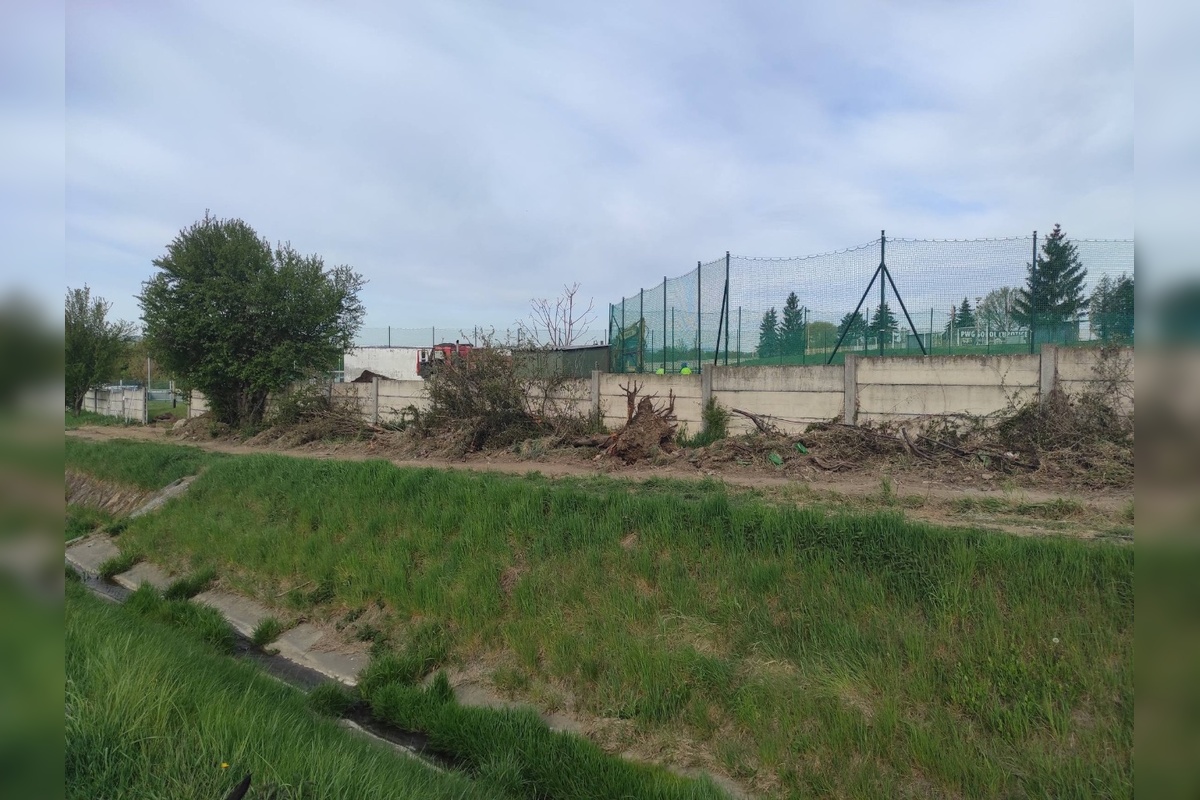 FOTO: Kvitnúce stromy v Ľuboticiach po pár dňoch zmizli., foto 1