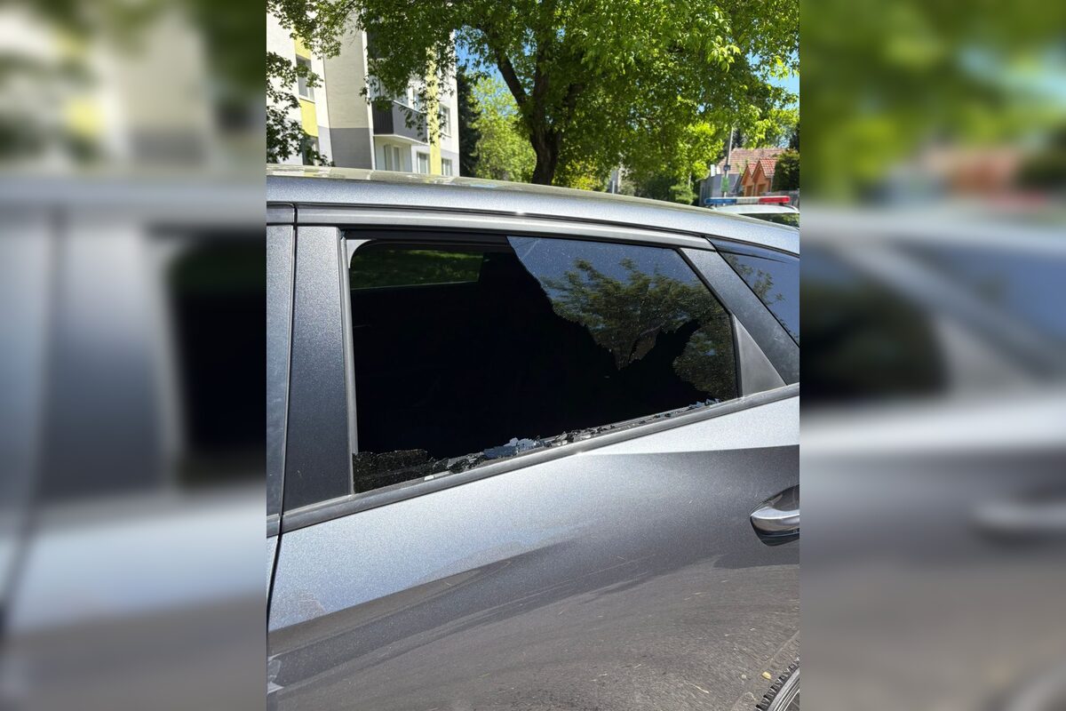 FOTO: Vyhrážajú sa jej a zdemolovali jej auto. Vraciame sa do 90. rokov? pýta sa Petková, foto 3