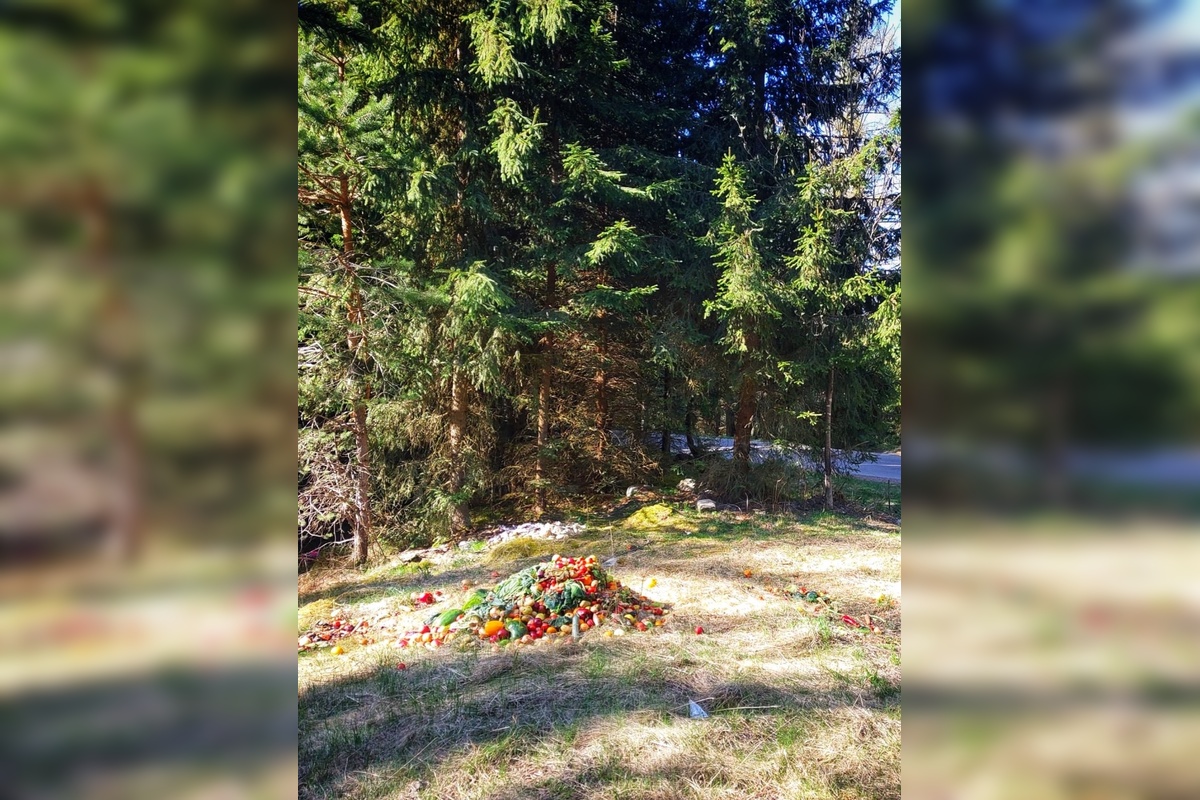 FOTO: Správa TANAP-u odhalila nelegálne vnadisko. Situáciu monitoruje zásahový tím , foto 3
