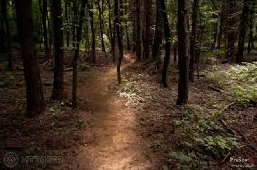 PSK ocení osobnosti a produkty cestovného ruchu, foto 3