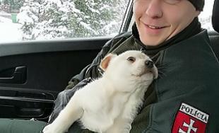 Premrznutý psík v Novej Ľubovni