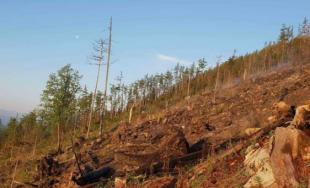 Rozsiahly požiar lesa vo Vysokých Tatrách