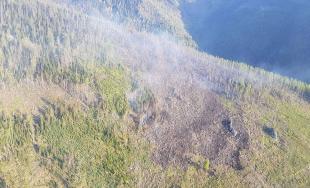 Rozsiahly požiar lesa vo Vysokých Tatrách