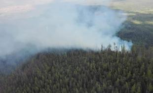 Rozsiahly požiar lesa vo Vysokých Tatrách