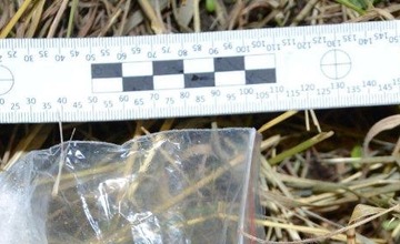 FOTO: Polícia v Kežmarku zastavila mladíka, ktorý mal v aute pervitín