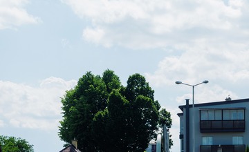 FOTO: V Poprade prebieha výsadba letničiek