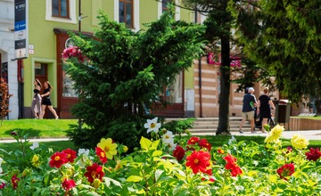 FOTO: V Poprade prebieha výsadba letničiek