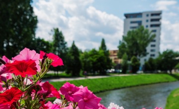 FOTO: V Poprade prebieha výsadba letničiek