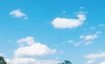 FOTO: V Poprade prebieha výsadba letničiek