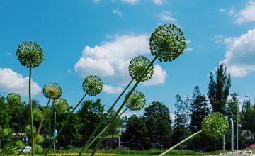 FOTO: V Poprade prebieha výsadba letničiek