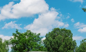 FOTO: V Poprade prebieha výsadba letničiek
