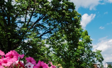 FOTO: V Poprade prebieha výsadba letničiek