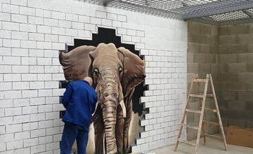 FOTO: Väzni v Prešove skrášlili pochmúrne železobetónové priestory