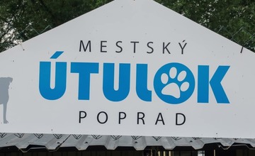 FOTO: O opustené psíky v Poprade bude lepšie postarané. Mestský útulok prešiel výraznou zmenou