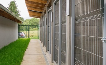 FOTO: O opustené psíky v Poprade bude lepšie postarané. Mestský útulok prešiel výraznou zmenou